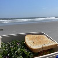 sandwich  at goodbeet in Ocean City