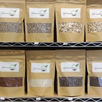 shop interior at Green Habit in Kerobokan