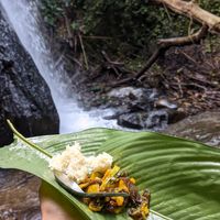 Lunch during the jungle trek at Tao Guesthouse in Kasi