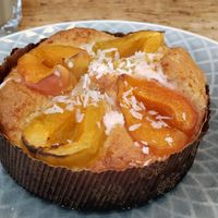 Coconut and apricot cake. Perfect texture. at Ausnahmsweise in Vienna
