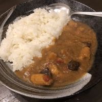 The vegan Japanese curry was great! at Matsuri in Osaka