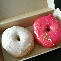 vegan donuts at Daddy Donut x Churros Cartel in The Hague