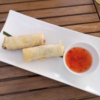 Spring rolls at Manna 68 in Gdansk