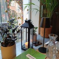 Interior #Veganuary at Manna 68 in Gdansk