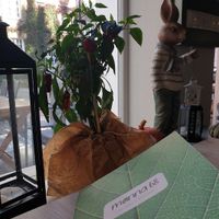  at Manna 68 in Gdansk