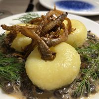 Silesian Dumplings served with Wild Mushroom Sauce  at Manna 68 in Gdansk