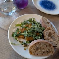 Vorspeise Pollo Tonnato at Manna 68 in Gdansk