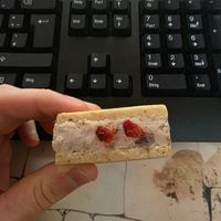  at Veggy Way in Sapporo