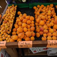 3 kinds of aprocoyd at Jeremy's Farm to Table in Chehalis