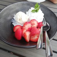 Vanille ice cream (1 small scoop), vegan whipped cream with a mint leave and some strawberries (€8,50) at Vlint 21 in Borger
