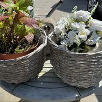   at Sylter Suppen in List