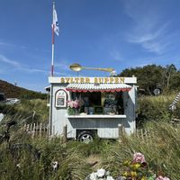   at Sylter Suppen in List