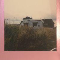 analog aus dem Strandhafer heraus at Sylter Suppen in List