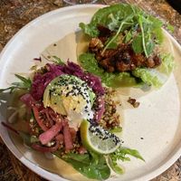 Tacos  at Greenhouse Canteen & Bar in South Brisbane