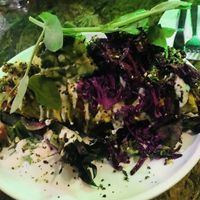 .  at Greenhouse Canteen & Bar in South Brisbane