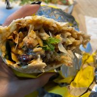 Burrito Pulled Jackfruit at Zocalo in Copenhagen