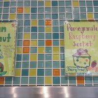 Two vegan flavors at Yotopia in Iowa City