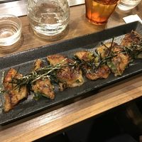 Japanese dumplings (spring onion filling)  at Kamehameha - かめはめは in Kyoto