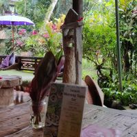 The cafe view at Swasti Beloved Cafe in Ubud