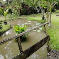  at Swasti Beloved Cafe in Ubud
