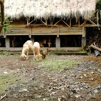  at Swasti Beloved Cafe in Ubud