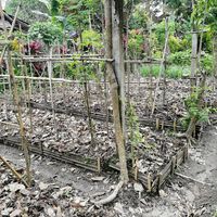  at Swasti Beloved Cafe in Ubud