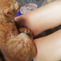 Little friend 🐾 at Swasti Beloved Cafe in Ubud