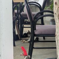  at Indiana vegan Cafe & Yoga in Langkawi