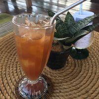 Iced kombucha at Indiana vegan Cafe & Yoga in Langkawi