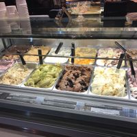 Gelato flavours  at Swoon Gelato in Bristol