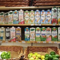 Great vegan milk options! at Bomercado in Lisbon