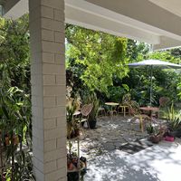  #Veganuary at Narcisa Vegan Bakery in San Salvador