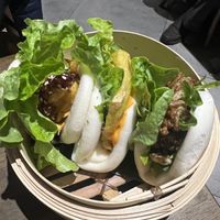 Bows  at Little Turtle in Enmore