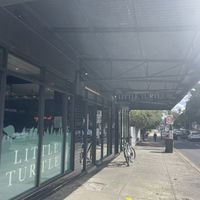   at Little Turtle in Enmore