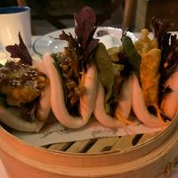   at Little Turtle in Enmore