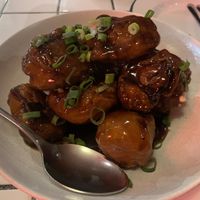   at Little Turtle in Enmore