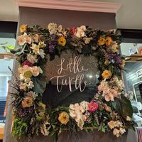  at Little Turtle in Enmore