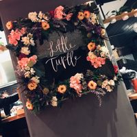 aesthetics  at Little Turtle in Enmore