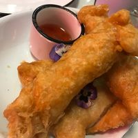   at Little Turtle in Enmore