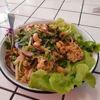 Love salad with crispy minced tofu, apples, cashew in sweet & sour at Little Turtle in Enmore