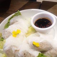 Mushroom Dumplings at Little Turtle in Enmore