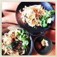 Delicious noodles and dumplings!  at Nora's Garden in Berlin