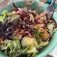 Almond Parmesan Buddha Bowl  at Thrive Diner in Pittsfield