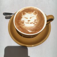 Soy latte  at Wired Bonbon in Tokyo