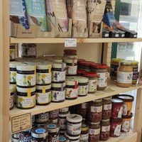 Chocolate at Plantigrade in Rennes