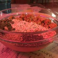 Smoothie at Ross Como en Casa in Reus