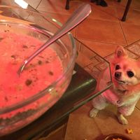 En vull una mica.... at Ross Como en Casa in Reus