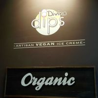 Best Vegan Ice Cream in LA at Divine Dips Ice Creme in Los Angeles