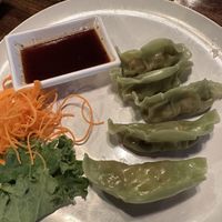 Gyoza  at 17 Street Thai Sushi in Fort Lauderdale