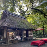   at Mizuya Chaya 水谷茶屋 in Nara